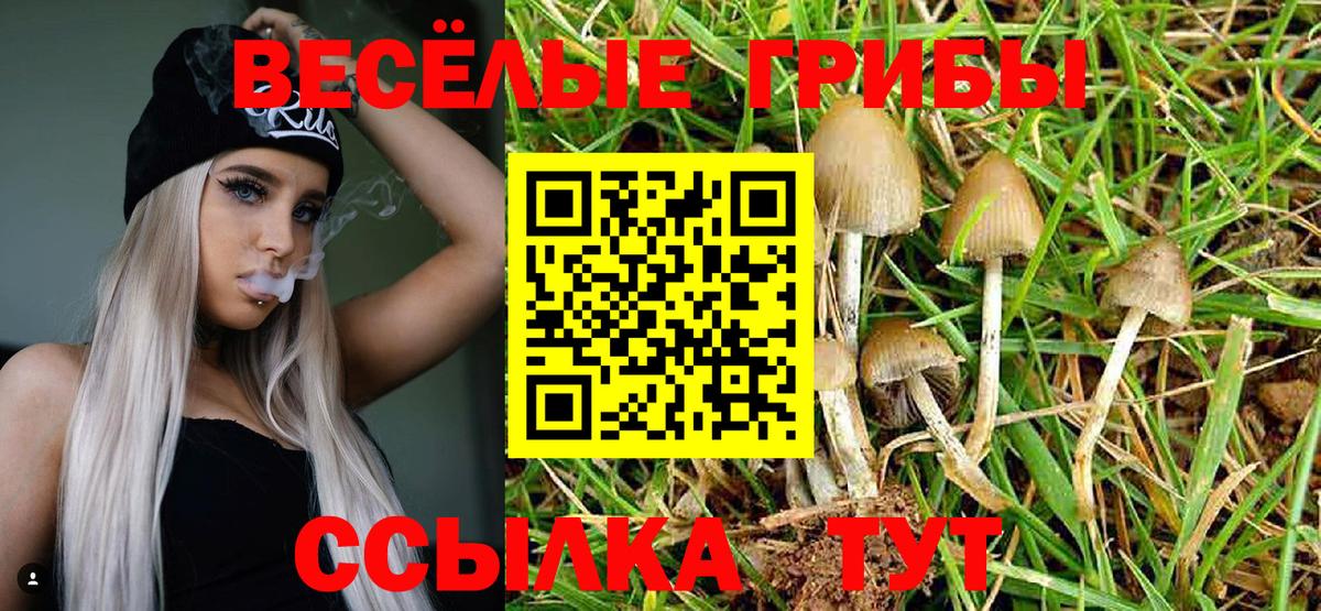 Галлюциногенные грибы Cubensis  Вход с VPN  Белгород 