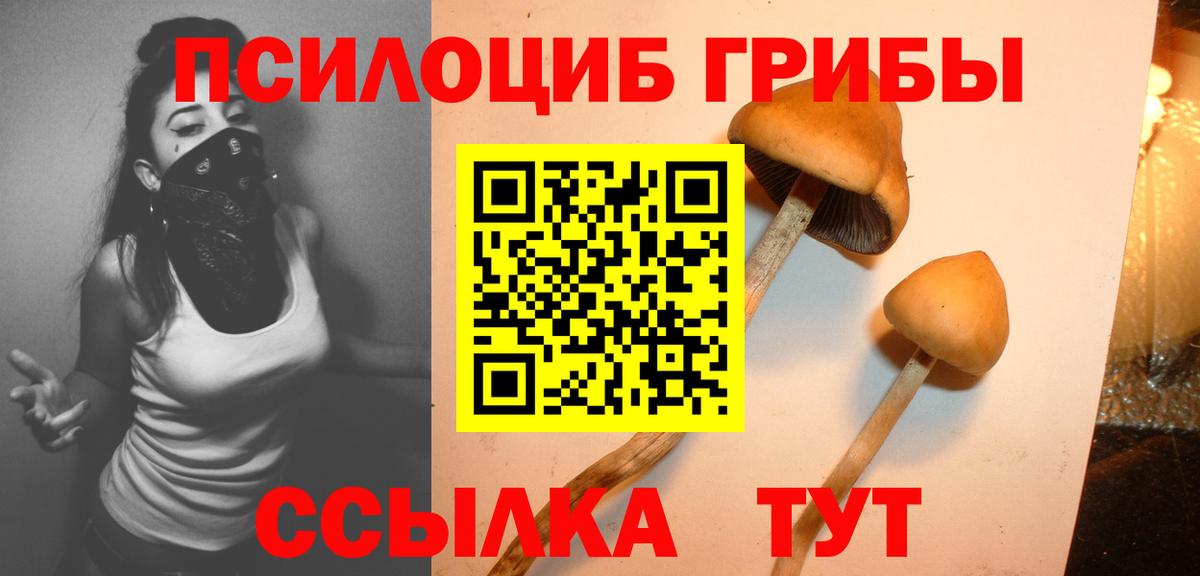 Псилоцибиновые грибы Magic Shrooms Белгород