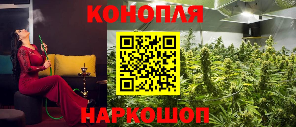 Бошки марихуана сатива Белгород